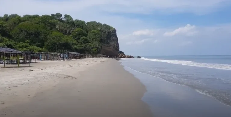 PLAYA MANZANILLO