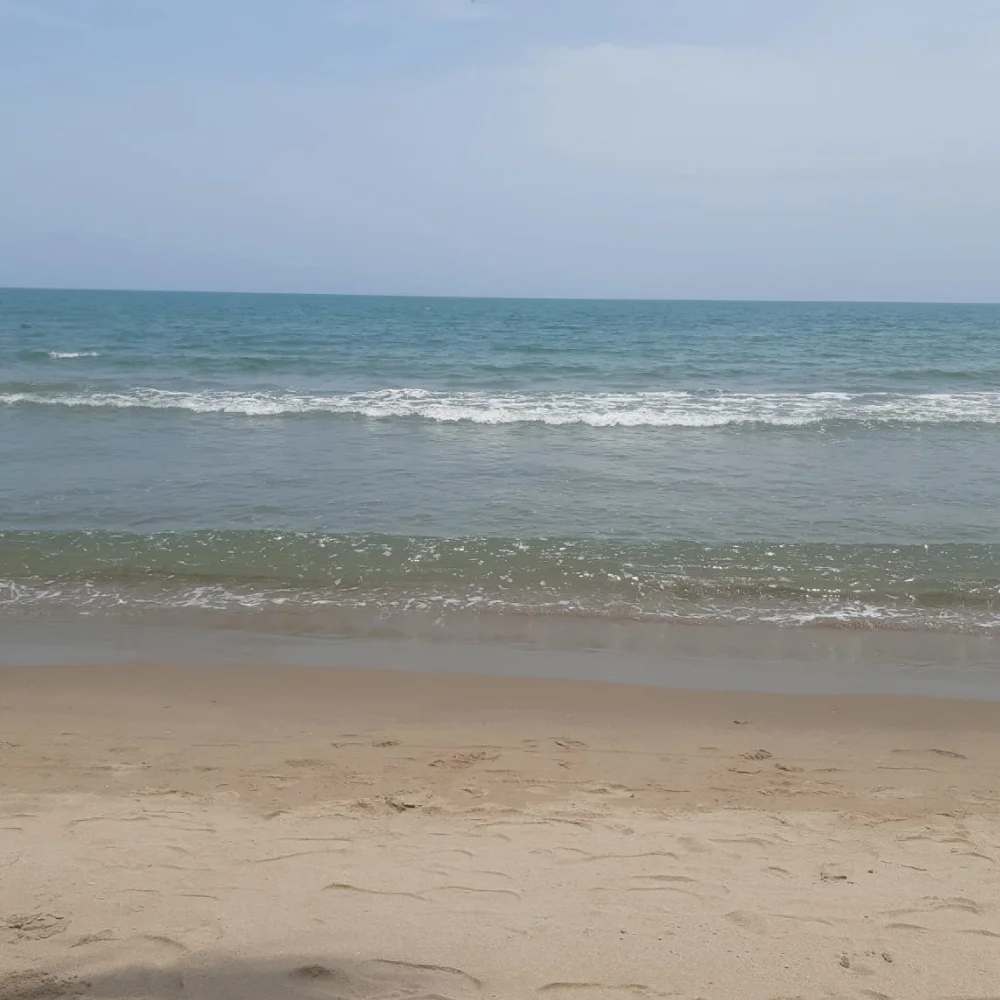Playa Punta Bolívar