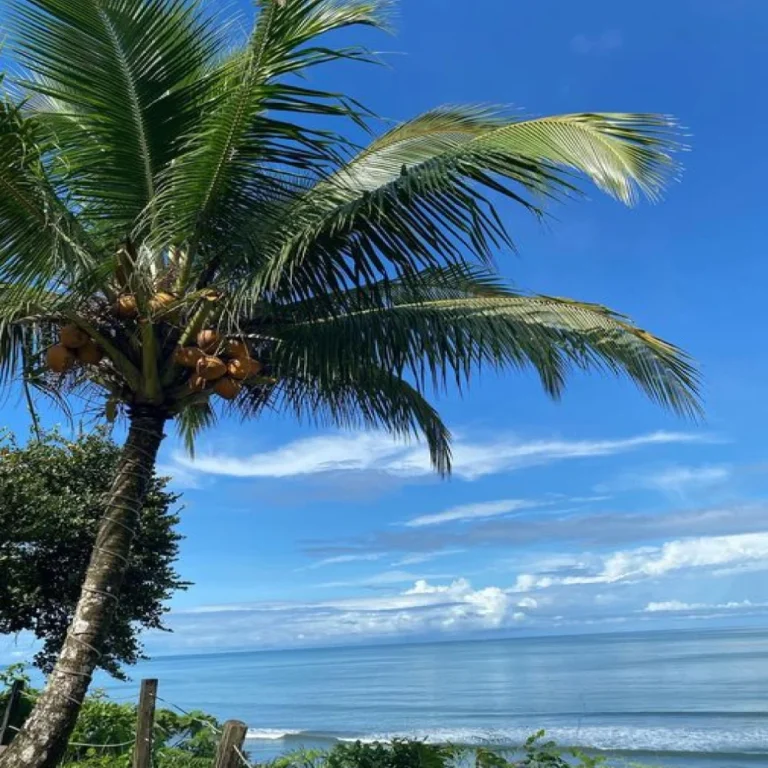 playa la barra