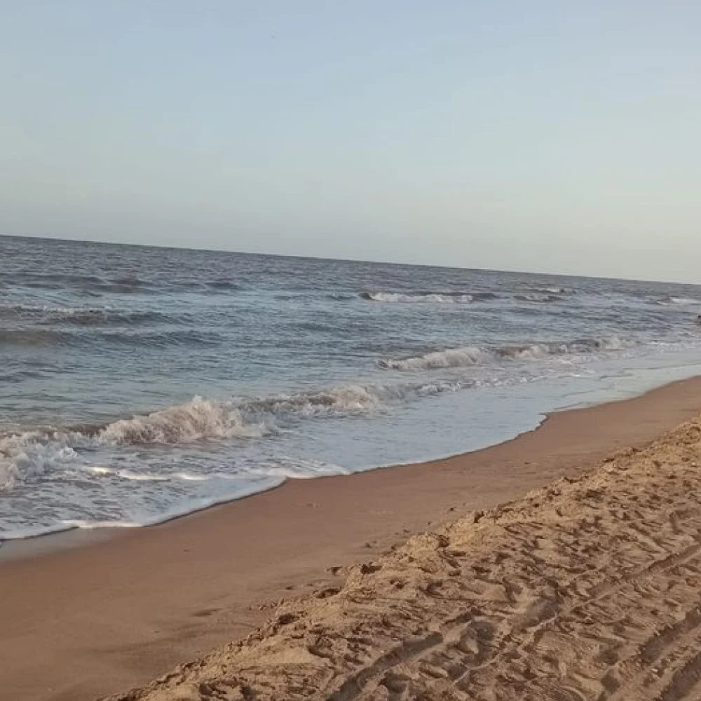 playa camarones